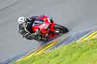 Lower Group Red Bikes